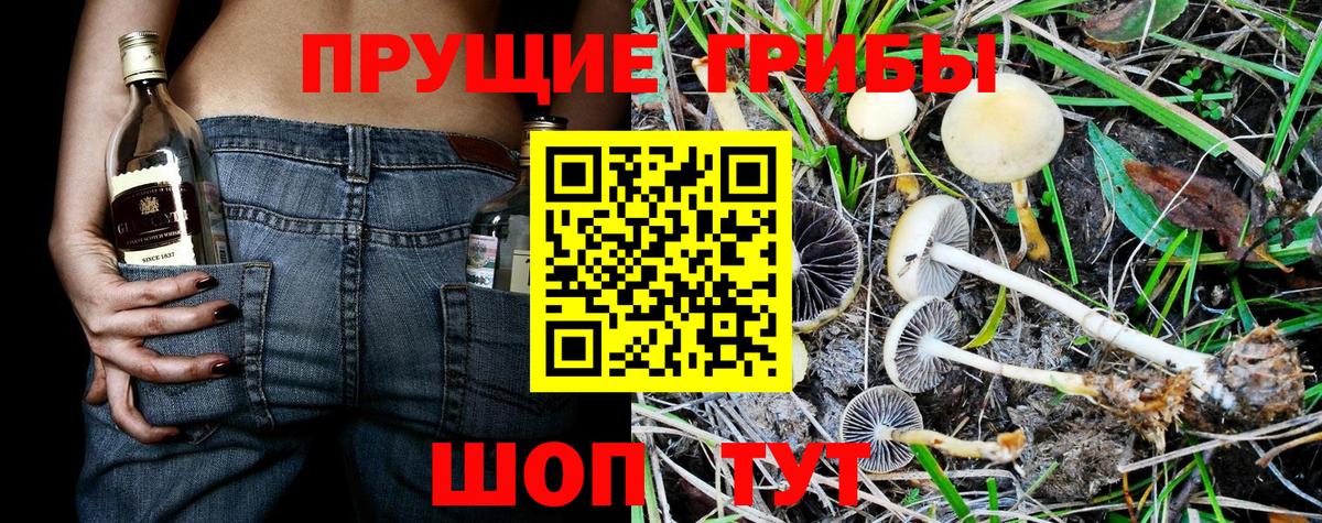 Галлюциногенные грибы Magic Shrooms  Вход с VPN  Ангарск 